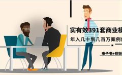 真实有效391套商业模式，年入几十到几百万案例解析（电子书+视频+图文）