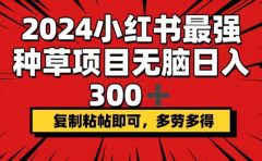 2024小红书最强种草项目,无脑日入300+,复制粘帖即可,多劳多得