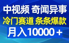 中视频奇闻异事，冷门赛道条条爆款，月入10000＋