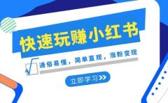 新赛道·快速玩赚小红书:通俗易懂,简单直观,涨粉变现(35节课)