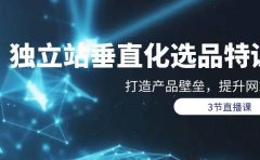 独立站-垂直化选品训练营，打造产品壁垒，提升网站利润（3节直播课）