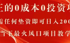 真正的0成本0投资项目,无需任何垫资即可日入2000+,当下最火风口项目教学