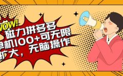 2024最新玩法，磁力单机100+，无脑操作，可无限扩大。别再错失机会了!!!