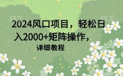 2024风口项目,轻松日入2000+矩阵操作,详细教程