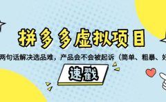 拼多多虚拟项目：三两句话解决选品难，一个方法判断产品容不容易被投诉，产品会不会被起诉（简单、粗暴、好用）