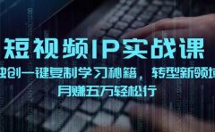 短视频 IP实战课,独创一键复制学习秘籍,转战新领域,月赚五万轻松行