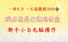 快手磁力聚星码信息差 售卖 一单卖9.9 一天也轻松300+ 新手小白无脑操作