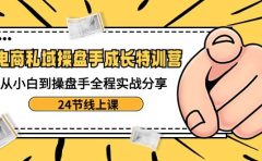 电商私域-操盘手成长特训营:从小白到操盘手全程实战分享-24节线上课
