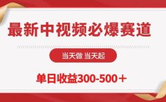 最新中视频必爆赛道,当天做当天起,单日收益300-500+!
