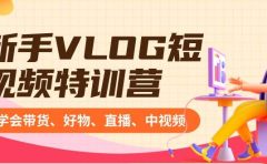 新手VLOG短视频特训营：学会带货、好物、直播、中视频、赚Q方法（16节课）