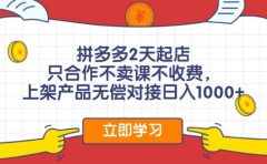 拼多多2天起店，只合作不卖课不收费，上架产品无偿对接日入1000+