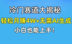 快手无脑搬运冷门赛道视频“仅6个作品 涨粉6万”轻松月赚4W+