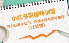 小红书突围特训营，带你玩转小红书，拆解小红书如何赚钱（11节课）