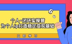 个人-闭环实操营：为个人ip打造稳定变现基础，从价值定位/爆款打造/产品...