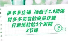 拼多多店铺 操盘手2.0新课，拼多多卖货的底层逻辑，打造爆款的3个周期-8节