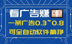 24年蓝海项目,可躺赚广告收益,一部手机轻松日入500+,数据实时可查