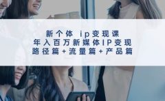 新个体 ip变现课，年入百万新媒体IP变现，路径篇+流量篇+产品篇