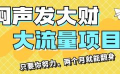 闷声发大财，大流量项目，月收益过3万，只要你努力，两个月就能翻身