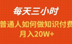 每天操作三小时，如何做识付费项目月入20W+