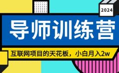 《导师训练营》精准粉丝引流的天花板,小白月入2w