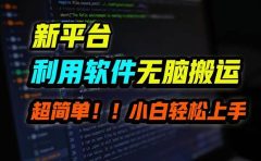 B站平台用软件无脑搬运,月赚10000+,小白也能轻松上手