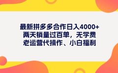 最新拼多多项目日入4000+两天销量过百单，无学费、老运营代操作、小白福利