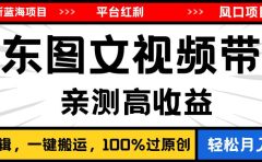 2024最新蓝海项目,逛逛京东图文视频带货,无需剪辑,月入20000+