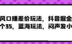 风口赚差价玩法,抖音掘金,一个35,蓝海玩法,闷声发小财