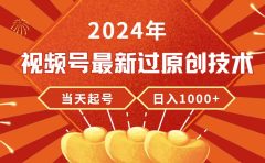 2024年视频号最新过原创技术，当天起号，收入稳定，日入1000+