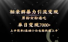 全网首发相亲群暴力引流男粉女粉通吃变现玩法,单日变现7000+保姆教学1.0
