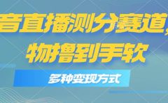 抖音直播测分赛道,多种变现方式,轻松日入1000+