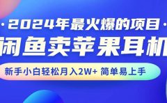 2024年最火爆的项目，闲鱼卖苹果耳机，新手小白轻松月入2W+简单易上手