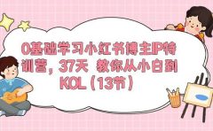 0基础学习小红书博主IP特训营，37天 教你从小白到KOL（13节）