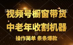 [你的孩子成功取得高位]视频号最火爆赛道，橱窗带货，流量分成计划，条...