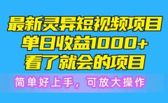 最新灵异短视频项目,单日收益1000+看了就会的项目,简单好上手可放大操作