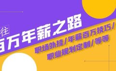 通往百万年薪之路·陪跑训练营：职场外挂/年薪百万技巧/职业规划定制/等等
