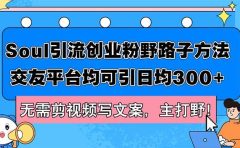 Soul引流创业粉野路子方法,交友平台均可引日均300+,无需剪视频写文案...