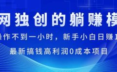 每天操作不到一小时，新手小白日赚1500+，最新搞钱高利润0成本项目
