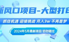 2024年5月最新风口项目,抓住机遇,迎接挑战,月入3w+,不再是梦