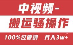 【中视频新思路】双重去重100%过原创,无脑搬运一键多渠道发布,一人可...