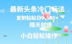 最新头条冷门玩法,隔天就爆,复制粘贴日入500+