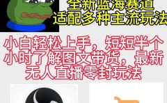 反方向的蛙3.0,图文最新玩法,变现多元化,新蓝海项目,小白轻松上手