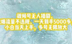 视频号无人播剧,拉爆流量不违规,一天到手5000多,小白当天上手,多号...