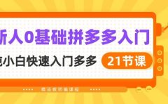 新人0基础拼多多入门，纯小白快速入门多多（21节课）