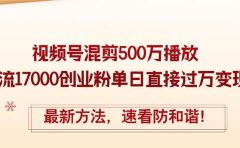 精华帖视频号混剪500万播放引流17000创业粉，单日直接过万变现，最新方...