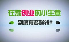 在家创业，日引300+创业粉，一年收入30万，闷声发财的小生意，比打工强