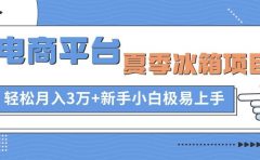 电商平台夏季冰箱项目，轻松月入3万+，新手小白极易上手