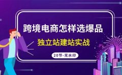 跨境电商怎样选爆品，独立站建站实战（20节高清无水印课）