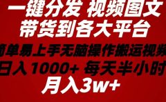 2024年 一键分发带货图文视频  简单易上手 无脑赚收益 每天半小时日入1...