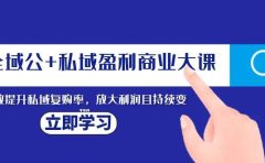 全域公+私域盈利商业大课,有效提升私域复购率,放大利润且持续变现